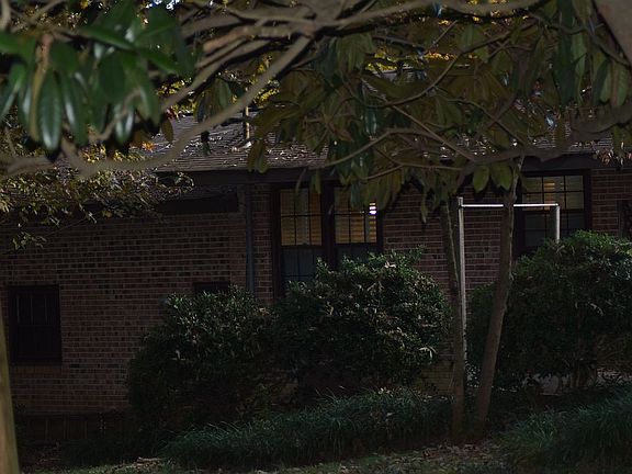 Park like setting -backyard