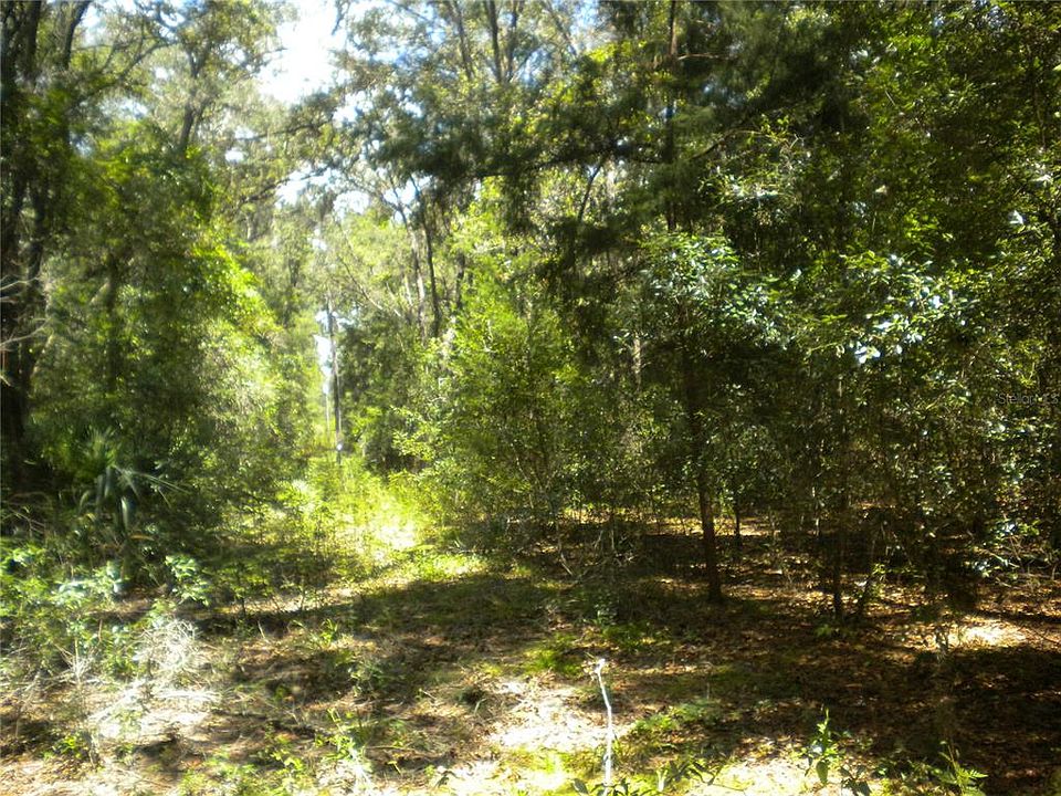 1st image of 10366 N Burgundy Point #13