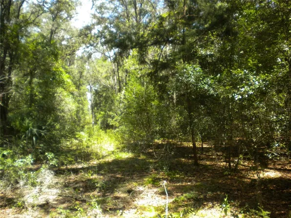 10366 N Burgundy Point #13, Dunnellon, FL 34433