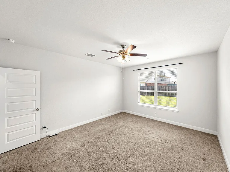 9461 Bicknell Sedge — Photo 18