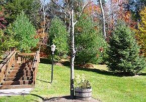 Green space abutting