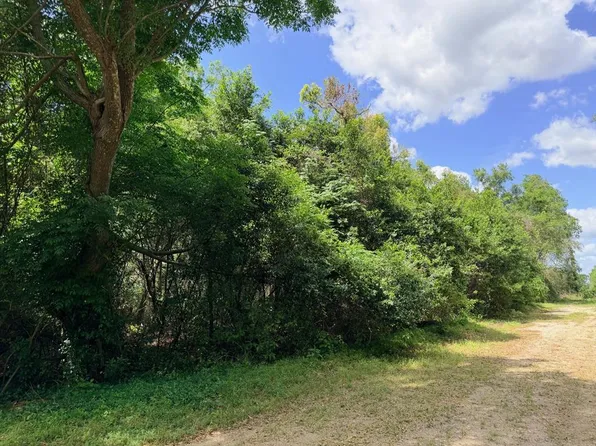 17170 NW 73rd Ter, Fanning Springs, FL 32693