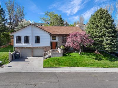3180 Midland Dr, Elko, NV, 89801