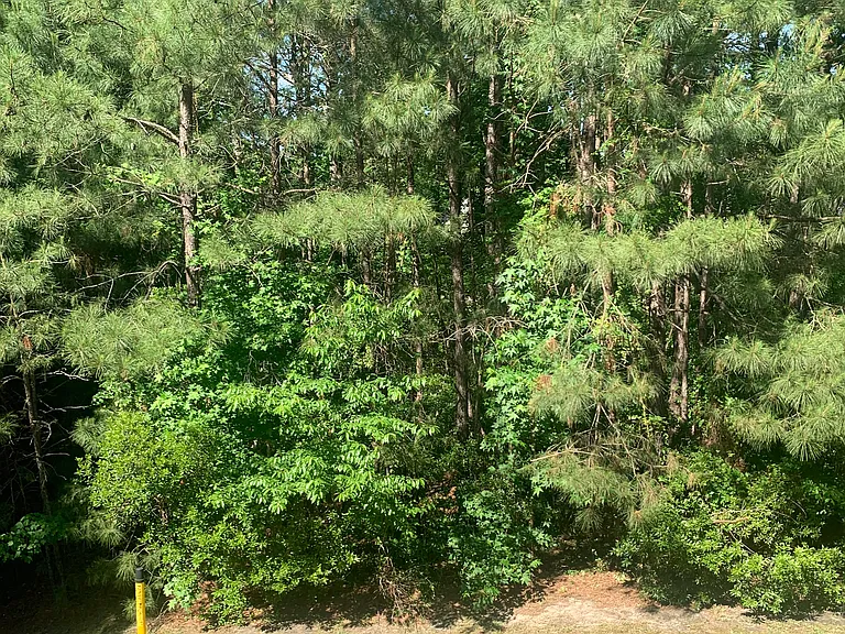 532 Lionshead Rd #6 — Photo 25