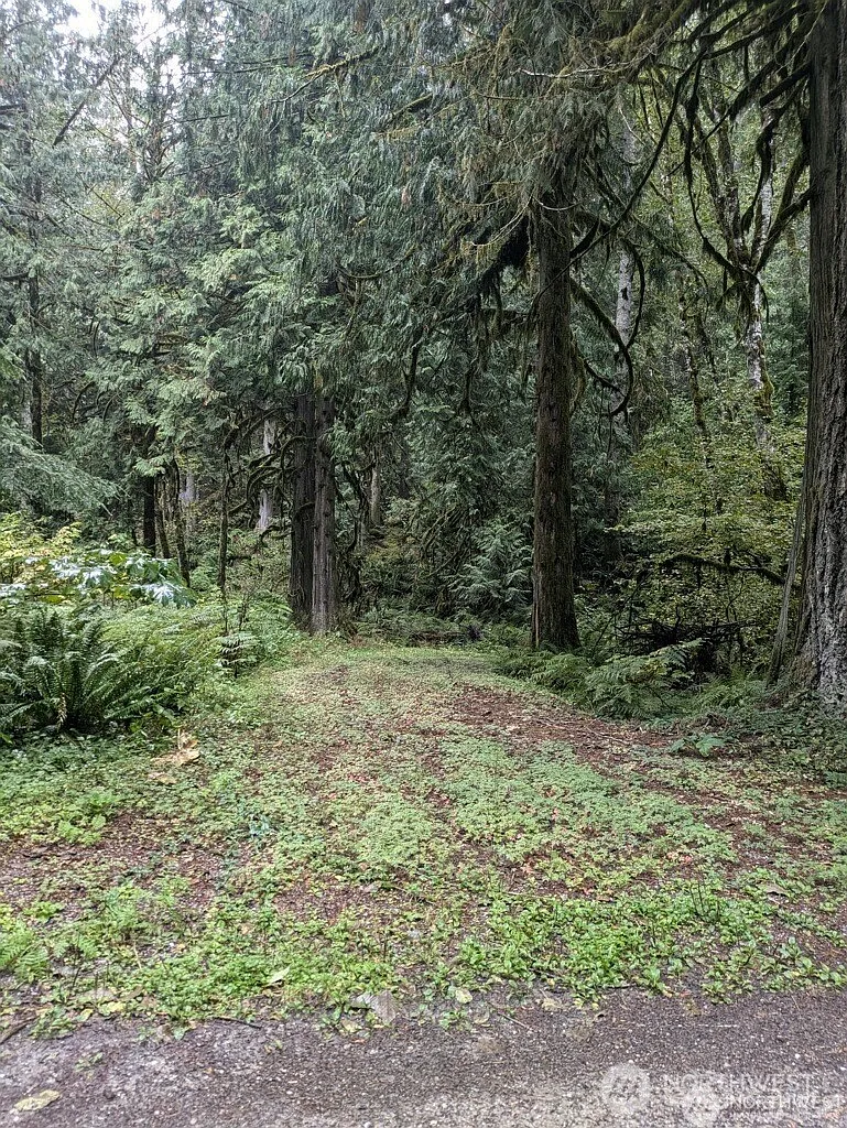 0 D1-L68 Cascade River Park Road photo 1
