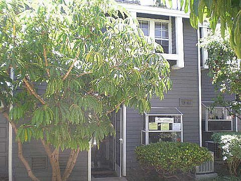 1st image of 25515 Pine Creek Ln