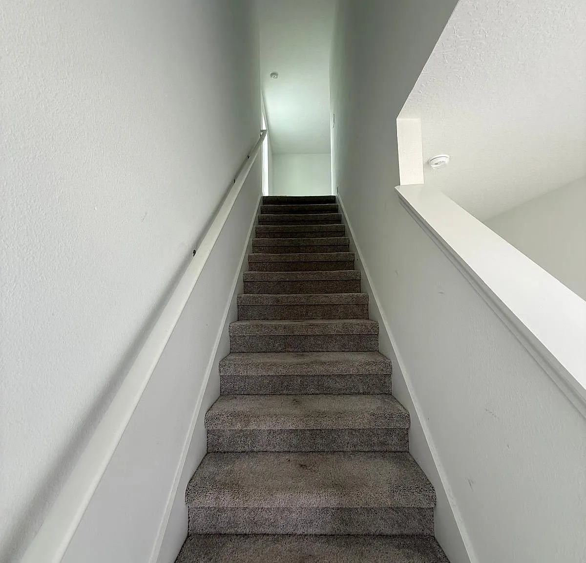 5 bed, 2.5 bath, 2112 sqft, $2,280 — Photo 4
