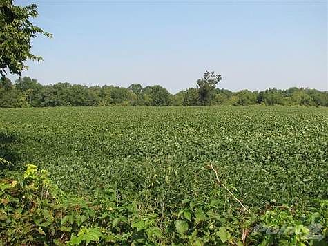 The property is in soybeans at present.   The wooded area in the back is on this farm.  There is a pond back there as well.