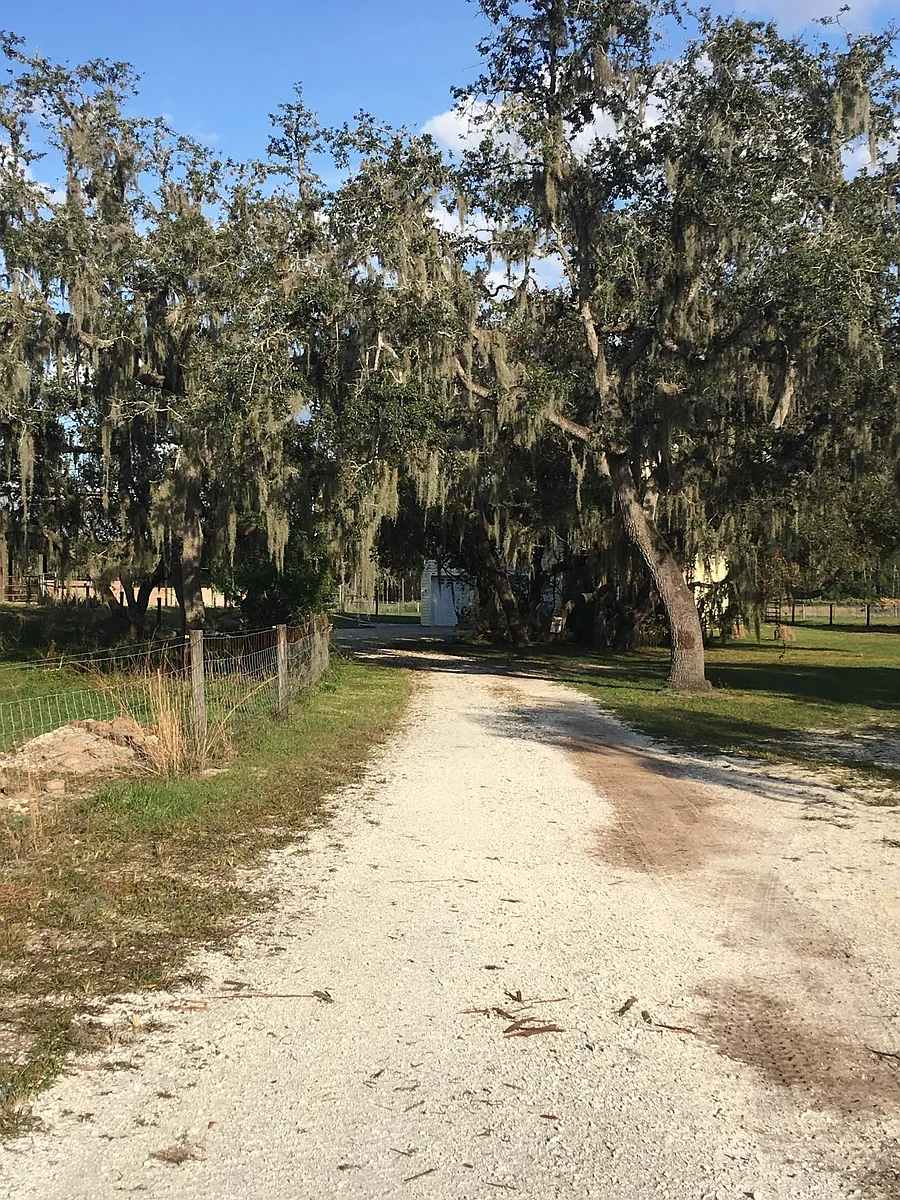Building Photo - 5845 Wauchula Rd