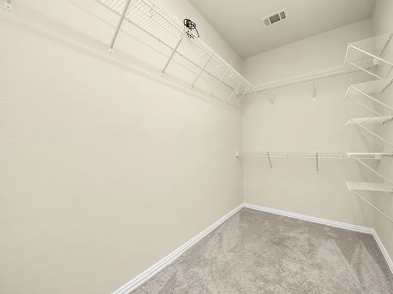 30243 Twisting Springs Dr — Photo 16