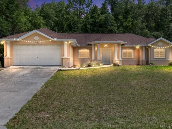2330 W Dolphin Dr, Citrus Springs, FL 34434