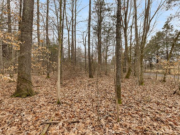 3rd image of 0 Gray Rd