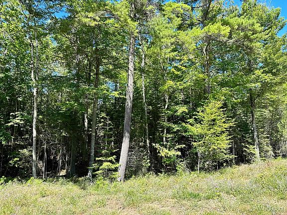 3rd image of W Hemlock Views Trl Lot 21 & 22