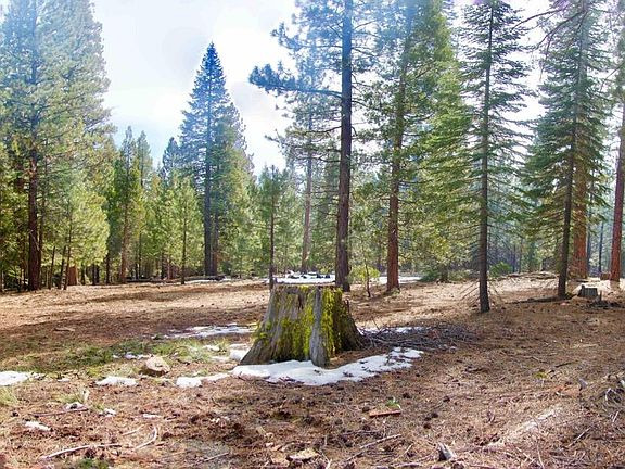 3rd image of Ponderosa Ln