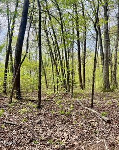 2682 Atchley Rd Lot 1, Sevierville, TN, 37876
