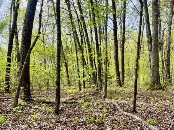 2682 Atchley Rd Lot 1, Sevierville, TN 37876