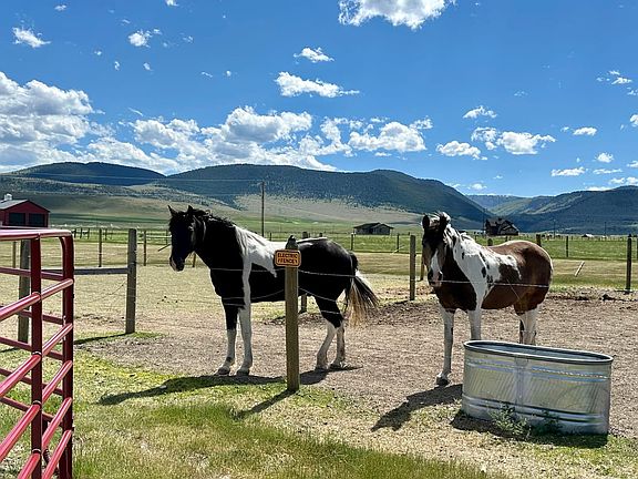 Horse Friendly Mountains