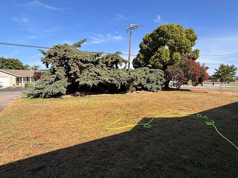 10449 Pioneer Ave — Photo 23