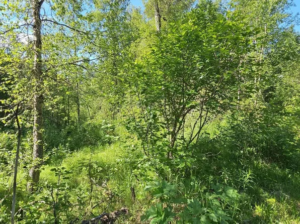 19410 New Market Dr, Eagle River, AK 99577