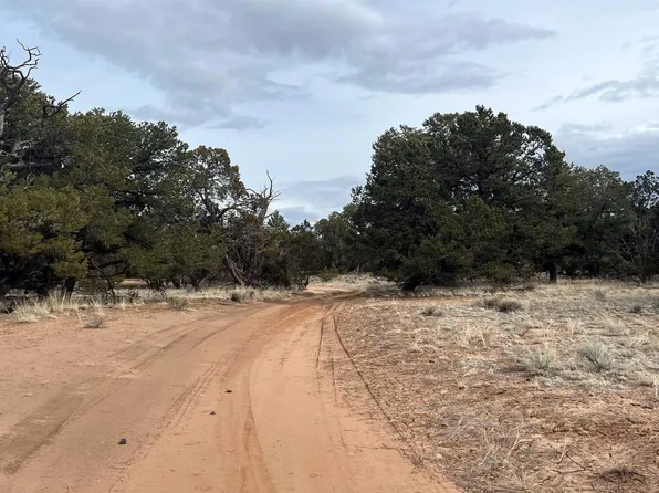 26 Big Tooth Dr, Pie Town, NM 87827