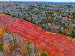 MAP31LOT29 Land-Perkins, Blue Hill, ME 04614