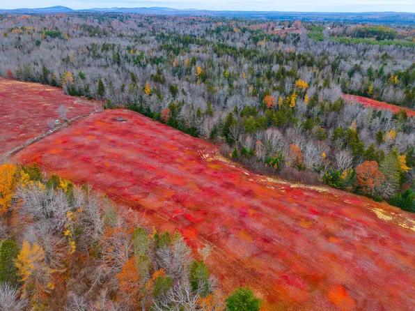 MAP31LOT29 Land-Perkins, Blue Hill, ME 04614