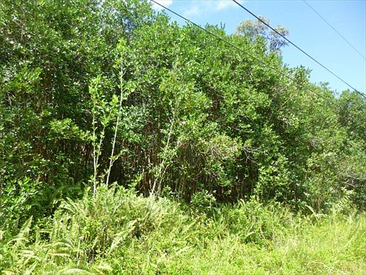 5th image of Napua St Lot 21