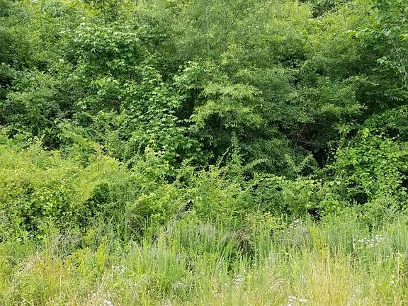 4th image of 480 Ten Mile Ln Lot 14