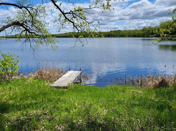 342XX Twin Island Dr, Dent, MN 56528