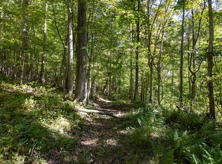 Tbd Old River Rd, Pocahontas, VA 24635