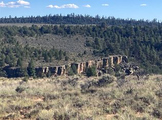 El Vado Rd, Los Ojos, NM 87551