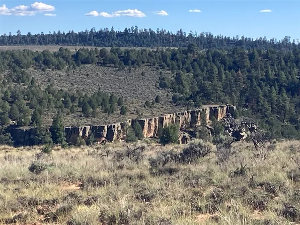 11 Cuyamungue Rd, Tierra Amarilla, NM 87575