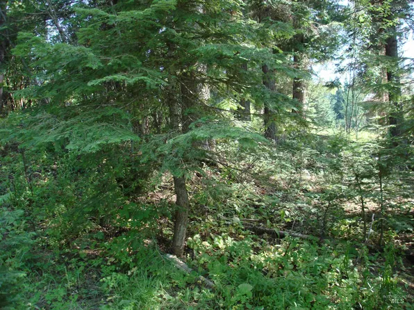LOT 2 Majestic View Dr, McCall, ID 83638
