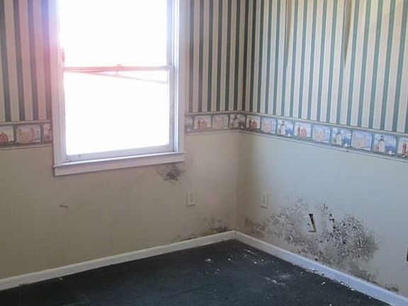 Additional Bedroom