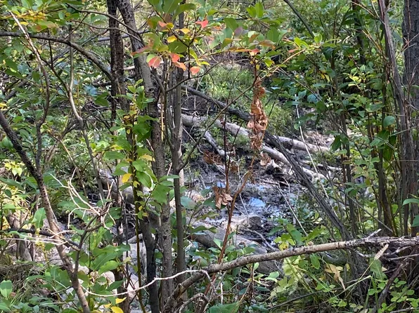 Nhn Arlie Lot 30, Babb, MT 59411