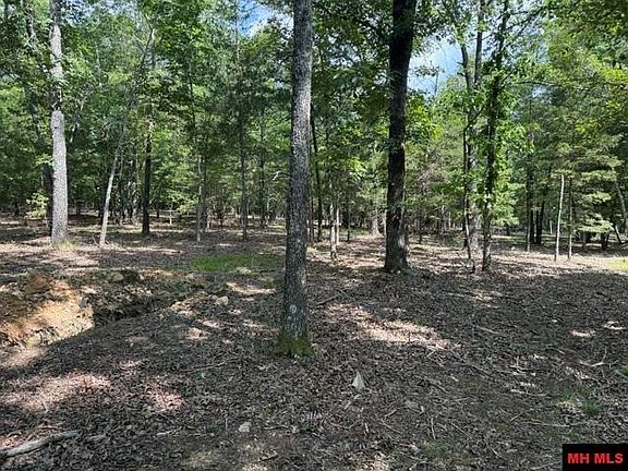 5th image of 18 Catawba