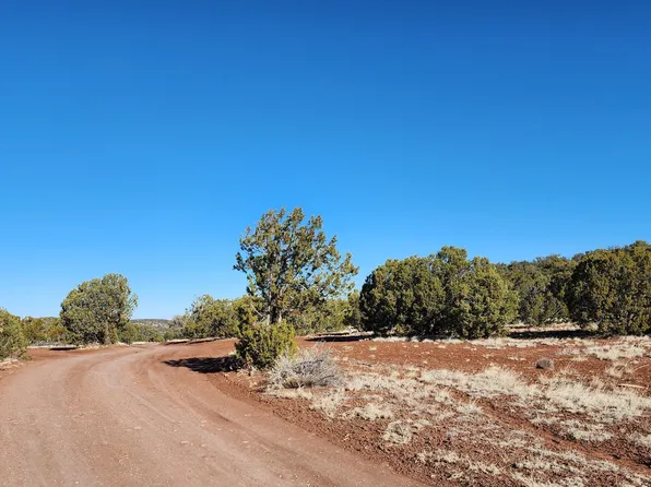 4 County Rd N8715 -- #-, Concho, AZ 85924