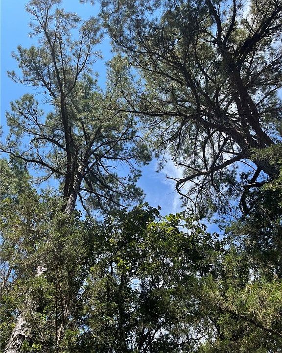 SW 184th Rd, Hartshorne, OK 74547 Zillow