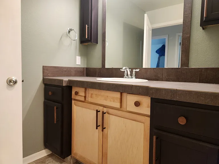 Downstairs Bathroom (Full Bath)