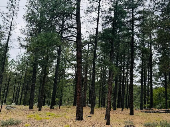 2586 Mesa Trl, Flagstaff, AZ 86005