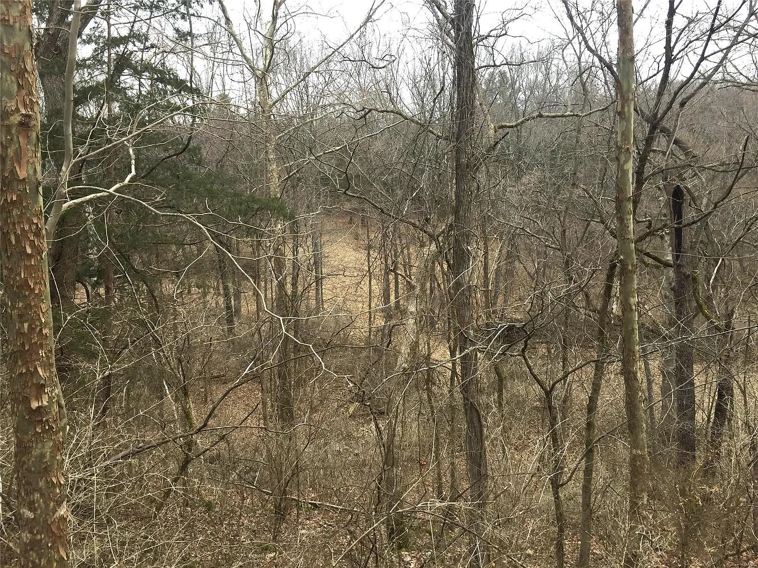4625 Vixen Cir photo 1