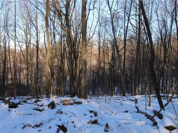 LOT 169 Squirrel Rd, Evans City, PA 16033