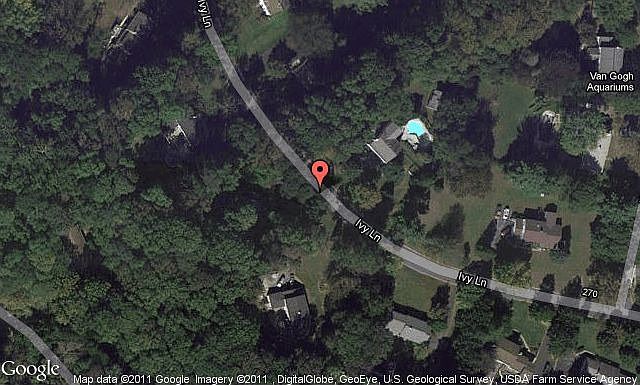 Map View