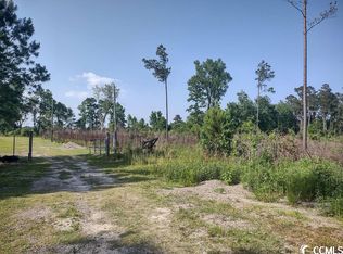 814 Ray Rd, Hemingway, SC 29554