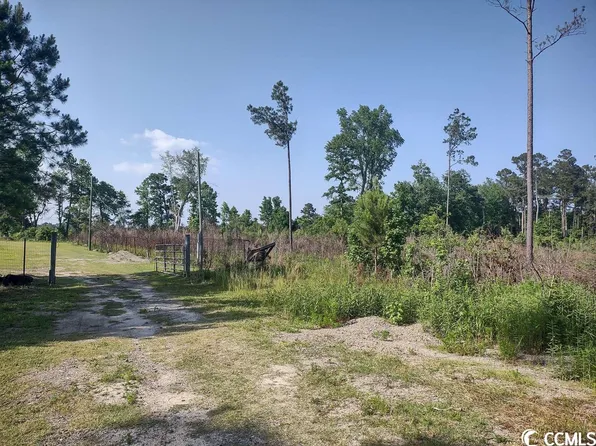 814 Ray Rd., Hemingway, SC 29554