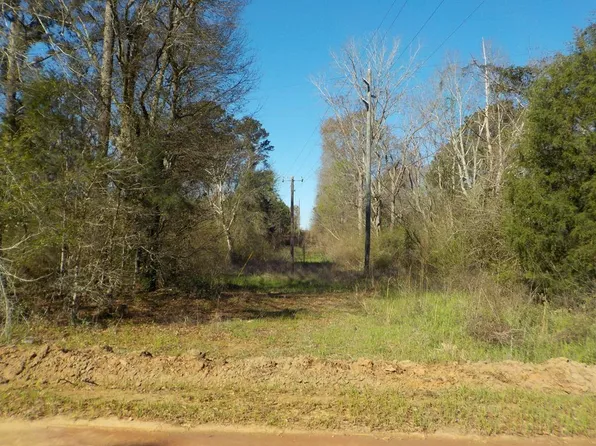 10 Ac Cty Rd Lot 1PL-141, Headland, AL 36345
