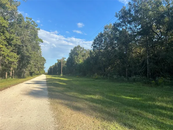 TRACT 45 46 Tx Pr #61-117, Devers, TX 77538