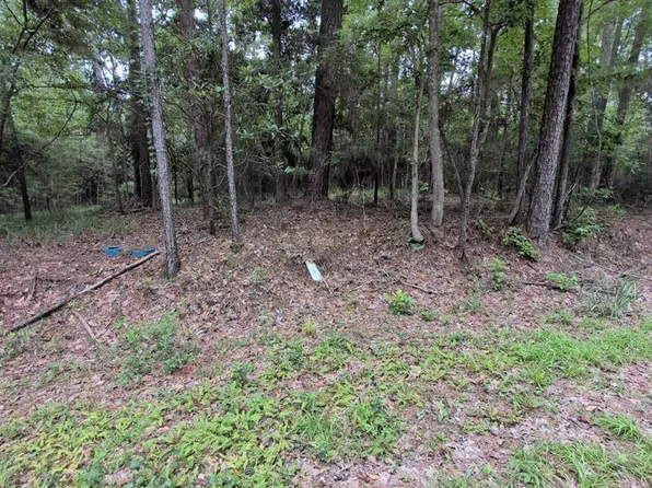 0 Amblewood Dr, Brookeland, TX 75931