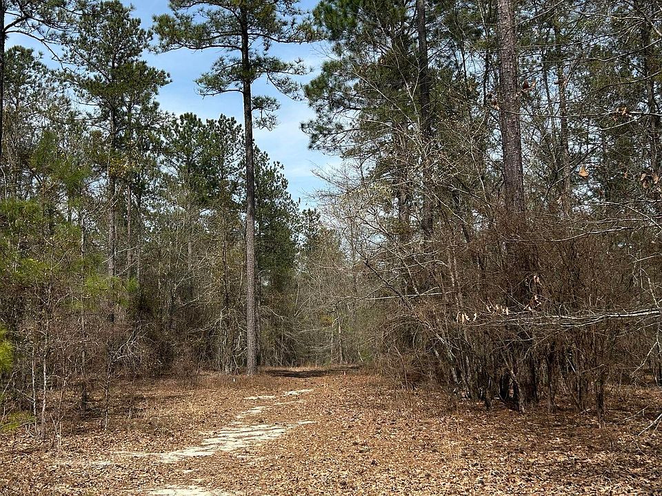 2nd image of LOT 7 Cooks Pond Road