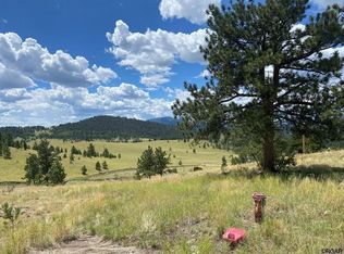 2302 Julia Rd, Guffey, CO 80820